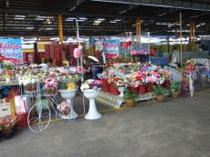 อาคาร ดอกไม้