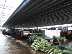 อาคาร 6 จอดรถซื้อ ( ตรงข้าม อาคารอาหาร 7 )