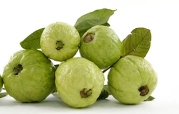 Guava