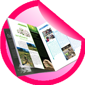 วารสาร ศรีเมือง